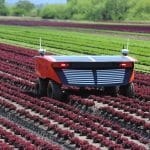 Foto del robot agrícola RIPPA