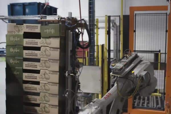 Robots industriales para coger y manipular cajas de cartón