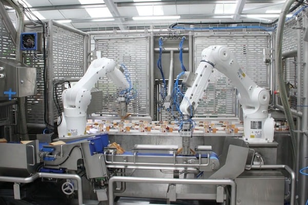 Robots industriales para el embalaje de sándwich